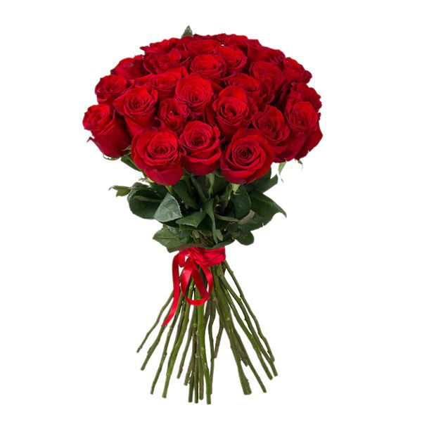  Kemer Blumenlieferung 25 Stück roter Rosenstrauß