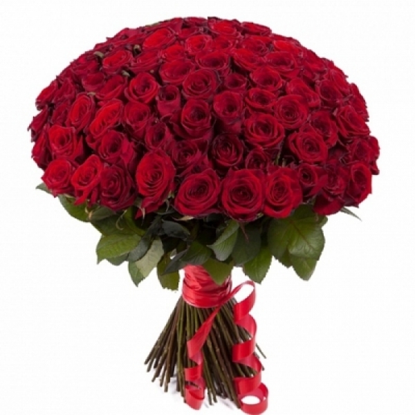 Kemer Florist 101 Stück Rosenband
