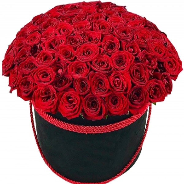  Kemer Blumen 101 rote Rosen in einer Box