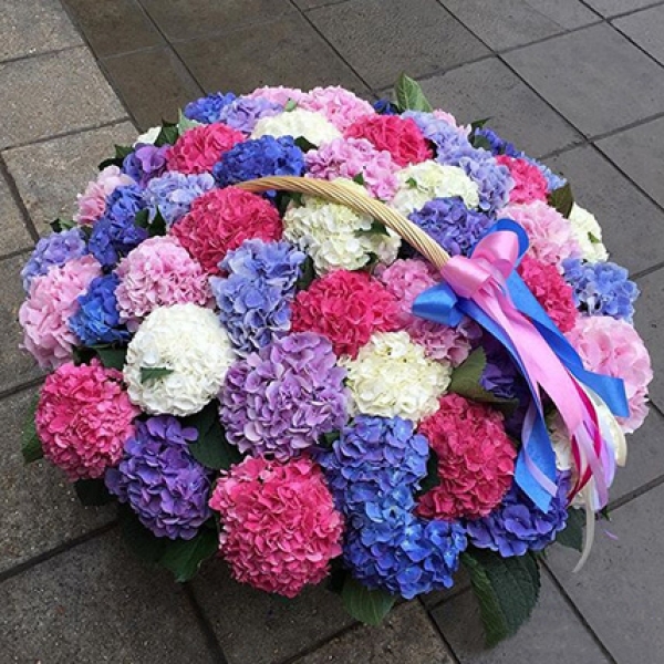  Kemer Florist Mein Hortensien-Blumenkorb 41
