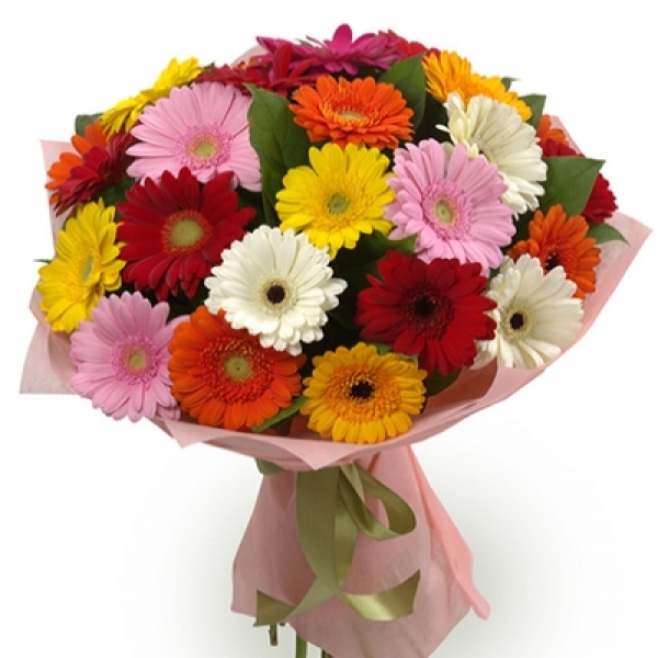  Kemer Blumenlieferung Gerbera-Sonne