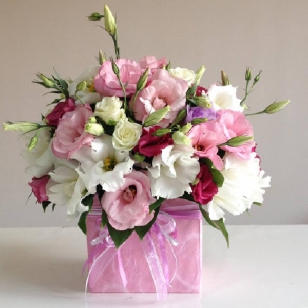  Kemer Florist gemischter Lisianthus 15